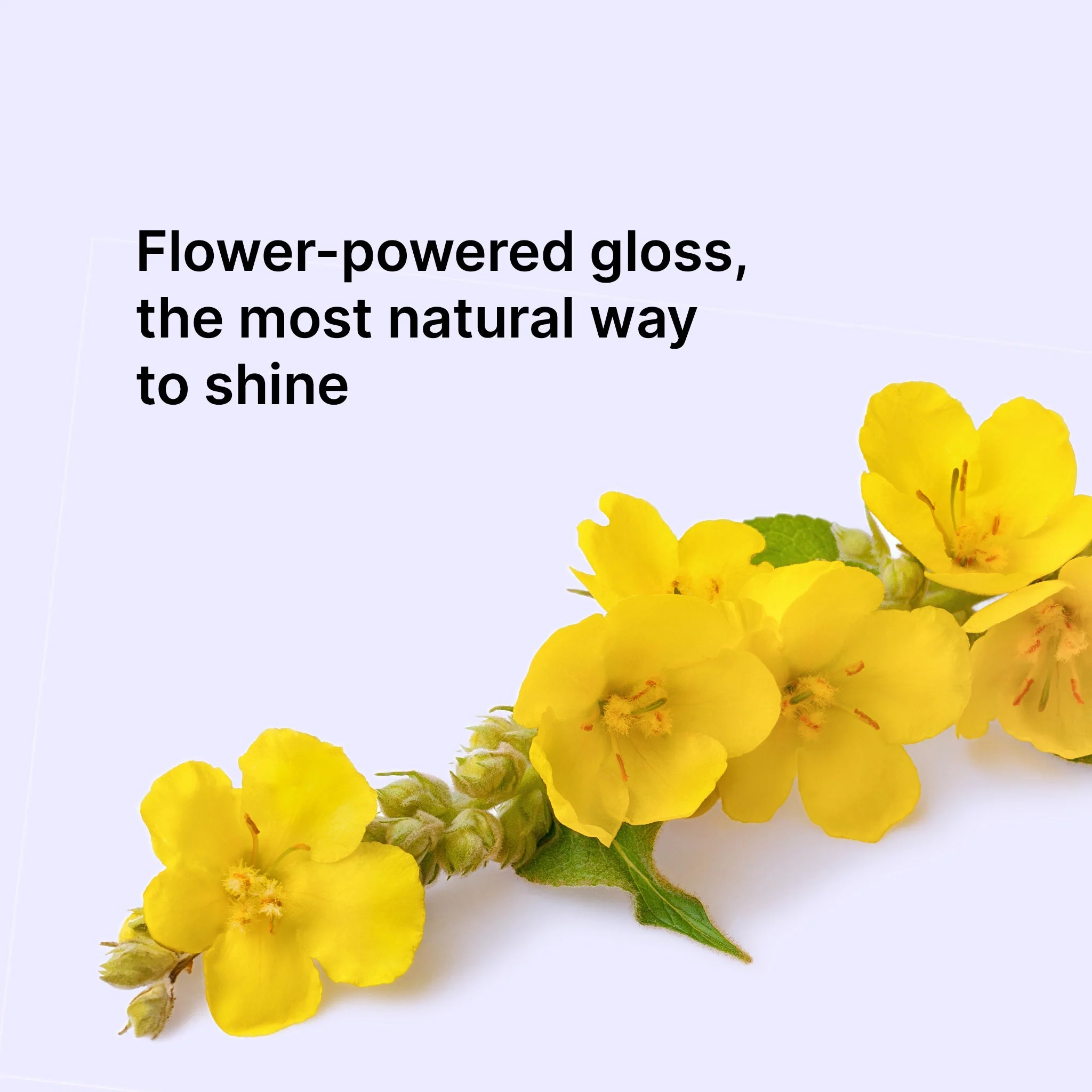 Extra Mist-ical Shine Spray - Image 5